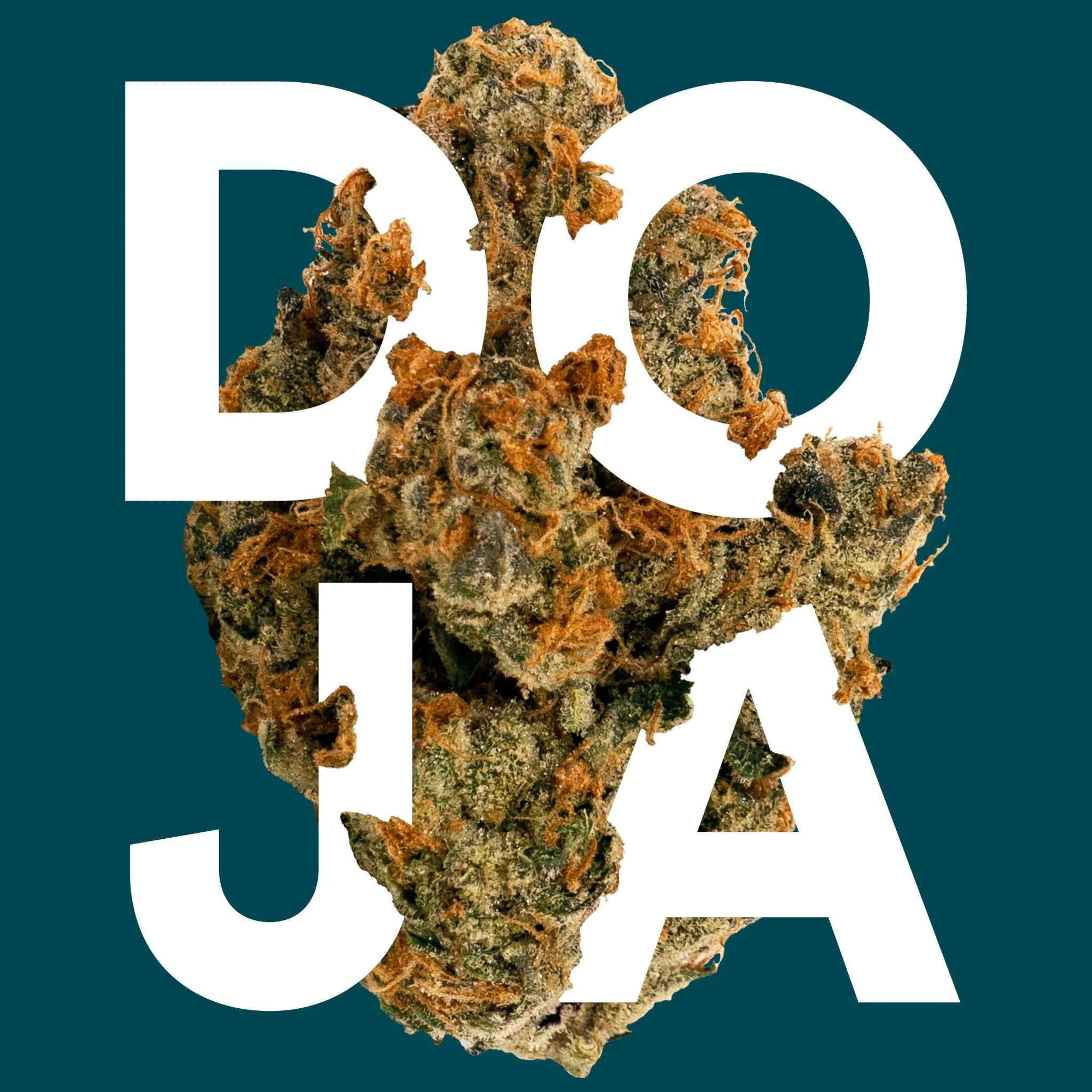 Doja Intertwined Logo 2