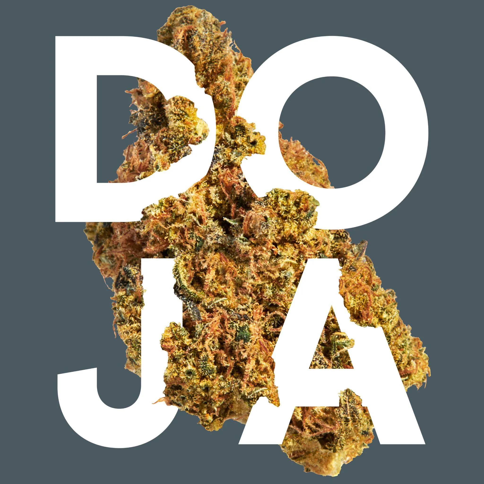 Doja Intertwined Logo 3