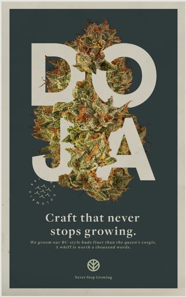 Doja Never Stop Growing social post